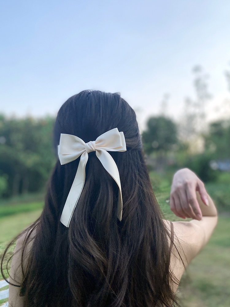 Horquillas Elegantes Coreanas  - Bobby Pin Bulk reseña y precio